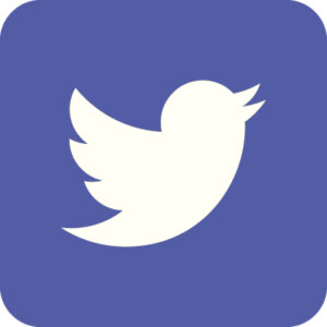Twitter_Social_Icon-tarotstorage