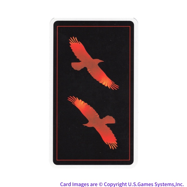 Crow's Magick Tarot Back Print（クロウマジックタロットバックプリント）